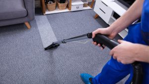 Cheap Pro Carpet Steam Cleaning Australia