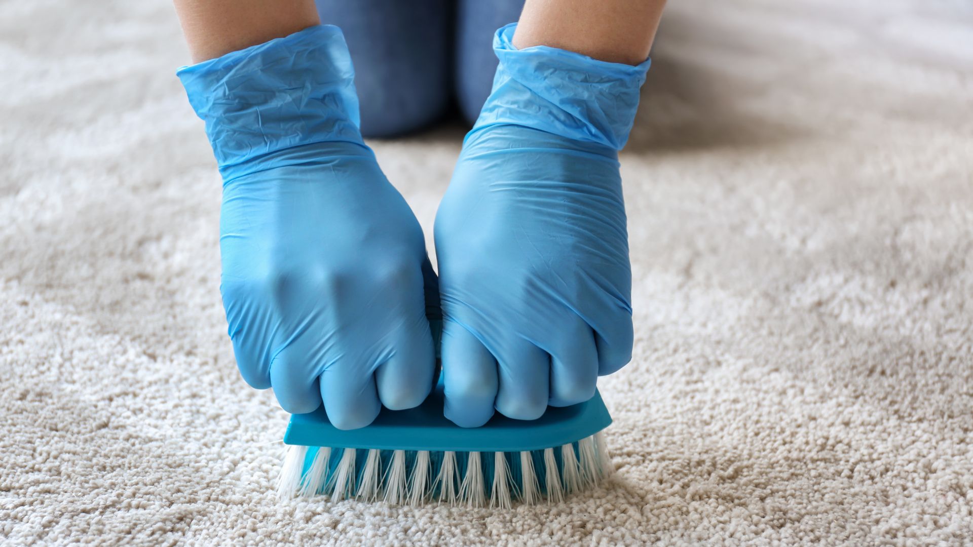 Why Hire Commercial Carpet Cleaning
