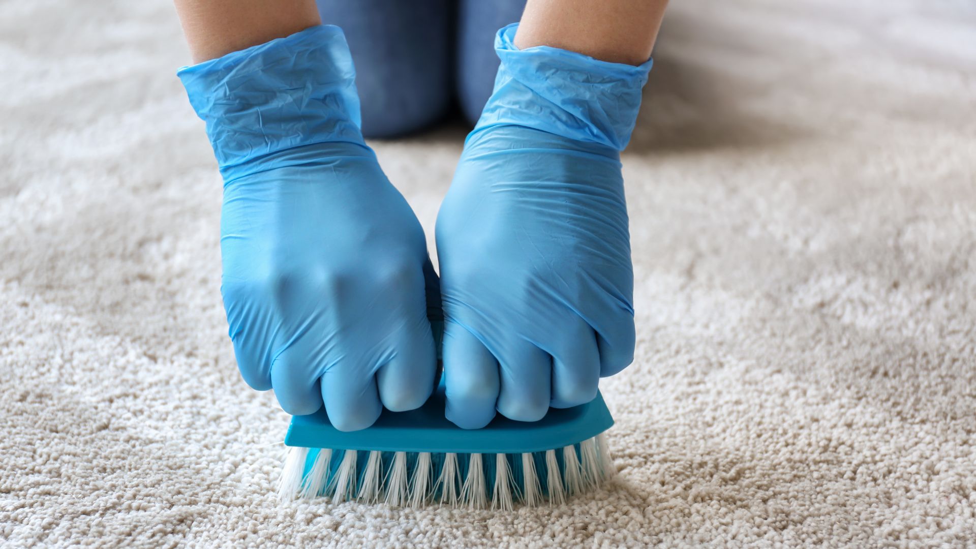 Read more about the article Revive Your Business with Professional Carpet Cleaning