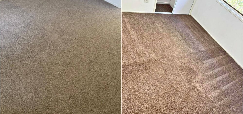 Residential Carpet Cleaning 2