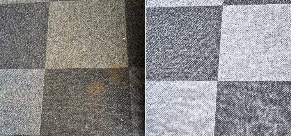 Stain Removal Stain Removal